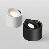Surface Mounted Dimmable COB LED Downlights 7W 10W 15W 20W 24W Rotatable LED Ceiling Lamp Background Spot Lights Indoor Lighting