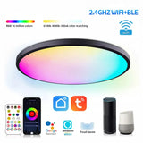 LED Ceiling Lights Round Smart WIFI RGBCW Dimmable TUYA APP Compatible with Alexa Google Home Bedroom Living Room Ambient Lamps