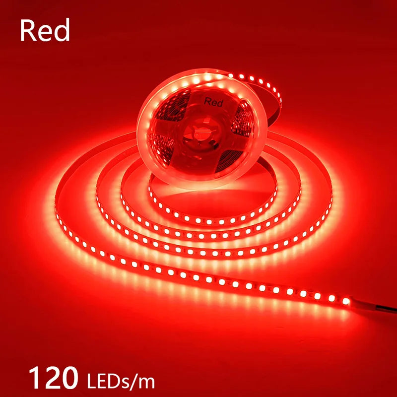High-Density 2835 LED Strip Light | 5M 300 600 1200 LEDs | DC 12V 24V Tape