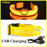 LED Glowing Dog Collar - USB Rechargeable Luminous Night Safety Collar