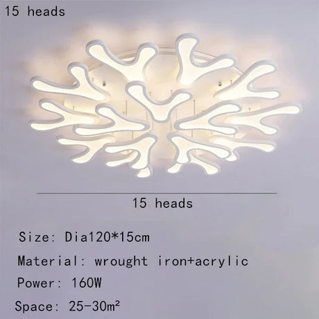 45436848079105|45436848111873|45436848341249