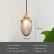 Nordic Glass Small Pendant Lights Brass Restaurant Chandelier for Living Dining Room Kitchen Bedroom Bedside Hanging Lamp