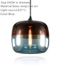Europe Hanging Glass Pendant Light Fixtures E27 LED pendant Lights For Cafe Bar Restaurant Living Dinning Room Bedroom Lusters'