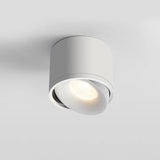 Dimmable Rotatable COB LED Ceiling Lights 10W 15W 20W Surface Mounted Downlights Background Spotlights Lobby Living Room Bedroom