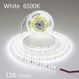 High-Density 2835 LED Strip Light | 5M 300 600 1200 LEDs | DC 12V 24V Tape