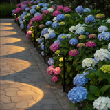 Solar Pathway Spotlight LED - Warm White Waterproof Landscape Lighting