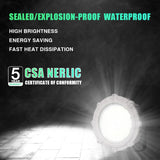BBIER 200W Explosion-Proof LED High Bay Flood Light (IP65) - Flame-Resistant Hazardous Location Overhead Lighting Fixture