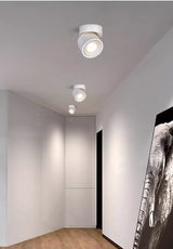 360 ° Rotatable And Foldable LED Downlights Dimmable 7W10W12W15W20W Surface Mounted Ceiling Lamp COB Spotlight AC85V-260V CRI 98