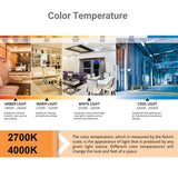 E27 Edison LED Filament Bulb  G95 G80 Globe  Bulb 2700K 4000K 12W 16W   Retro Vintage Lamp Decorative No Flicker Bulb