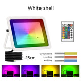 IP68 Waterproof RGB LED Flood Light (20W/30W/50W/100W) AC220V - Outdoor Color Changing Spotlight & Street Projector