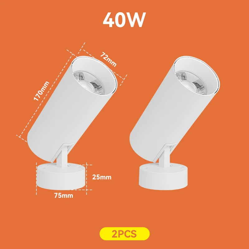 45401434194177|45401434226945|45401434259713