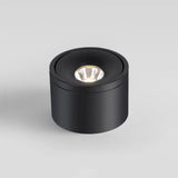 Surface Mounted Dimmable COB LED Downlights 7W 10W 15W 20W 24W Rotatable LED Ceiling Lamp Background Spot Lights Indoor Lighting