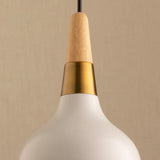 Nordic LED Hanger Lamp 1.1m wire Wood Macaron Pendant Light Modern Indoor Decors room decor Light fixture For Restaurant Bed room