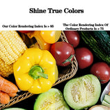 Super Bright 6W COB LED Spotlight Bulb (220V) - High-Quality Aluminum Lamp (E27 / E14 / GU10 / MR16)