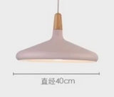Modern Pendant Light Nordic Hanging Light Fixuture Suspension Macaron Dinning Living Room Hall Decoration Wood LED Lamp Lampara