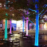 Waterproof LED Fiber Optic Mesh Light with Engine for Ceilings Trees Party - Net Fabric Kits