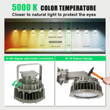 BBIER 200W Explosion-Proof LED High Bay Flood Light (IP65) - Flame-Resistant Hazardous Location Overhead Lighting Fixture