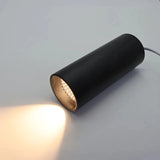 Modern LED ceiling lamp 110V/220V household pendant lamp 12W dimmable COB clothing commercial lighting spotlight