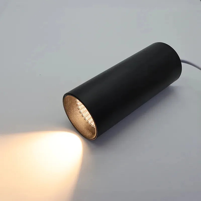 Modern LED ceiling lamp 110V/220V household pendant lamp 12W dimmable COB clothing commercial lighting spotlight