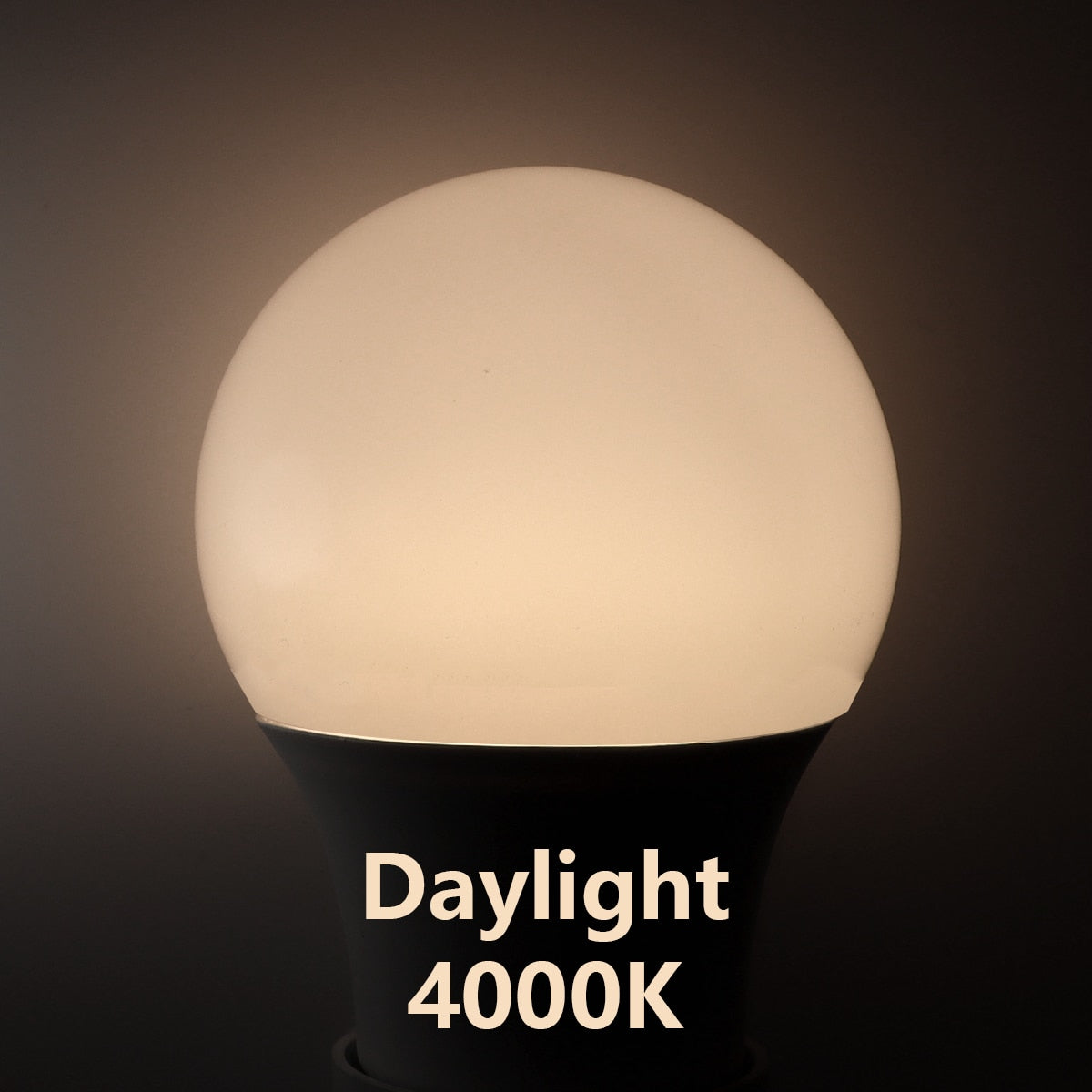 LED bulb light AC220V AC110V high power 8W-24W E27 B22 6PCS room study kitchen