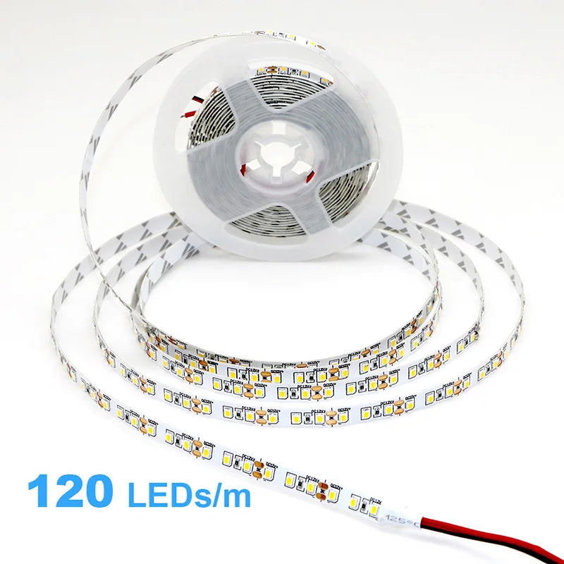 High-Density 2835 LED Strip Light | 5M 300 600 1200 LEDs | DC 12V 24V Tape