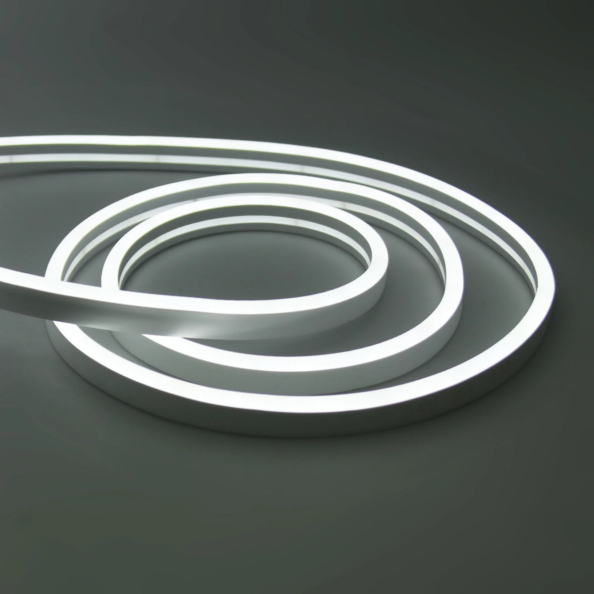 Solar Powered DC 24V Neon Strip Light (IP67 Waterproof, Warm/Cold White) - Flexible Outdoor Garden Decor LED Rope Ribbon Lamp