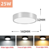 Led Downlight 220V Down Lights Surface Mounted 3/5/10/15/25W Ceiling Lamp For Indoor Living Room Bedroom Kitchen Lighting