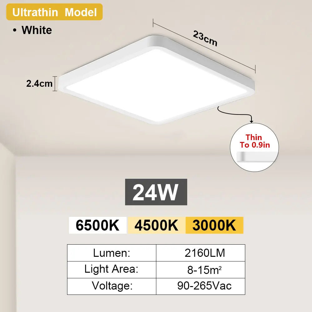 45509276467457|45509276532993|45509276598529|45509276664065|45509276729601