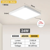 45509276467457|45509276532993|45509276598529|45509276664065|45509276729601