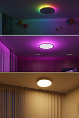 Smart 30W LED Ceiling Lamp with RGBIC Backlight - Alexa & Google Assistant Light