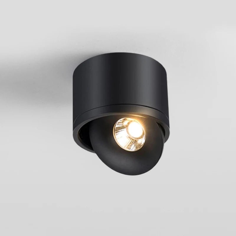 Dimmable Rotatable COB LED Ceiling Lights 10W 15W 20W Surface Mounted Downlights Background Spotlights Lobby Living Room Bedroom