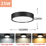 Led Downlight 220V Down Lights Surface Mounted 3/5/10/15/25W Ceiling Lamp For Indoor Living Room Bedroom Kitchen Lighting