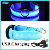 LED Glowing Dog Collar - USB Rechargeable Luminous Night Safety Collar