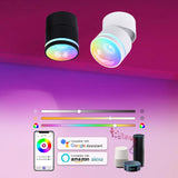 Zigbee/WiFi Tuya Smart Ceiling Light RGB Dimmable Spotlights Adjustable Angle COB Downlight Voice Contro Work with Alexa Google