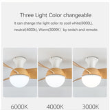 Modern LED Ceiling Fan Light for Kids Bedroom, 6-Speed Variable DC Motor, 24W LED Light, 30/36 inch Ceiling Fans