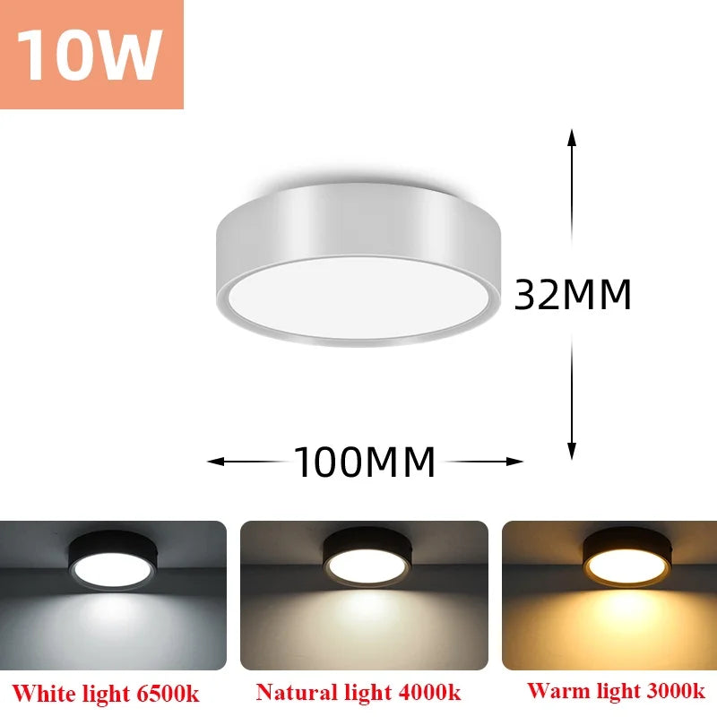 Led Downlight 220V Down Lights Surface Mounted 3/5/10/15/25W Ceiling Lamp For Indoor Living Room Bedroom Kitchen Lighting