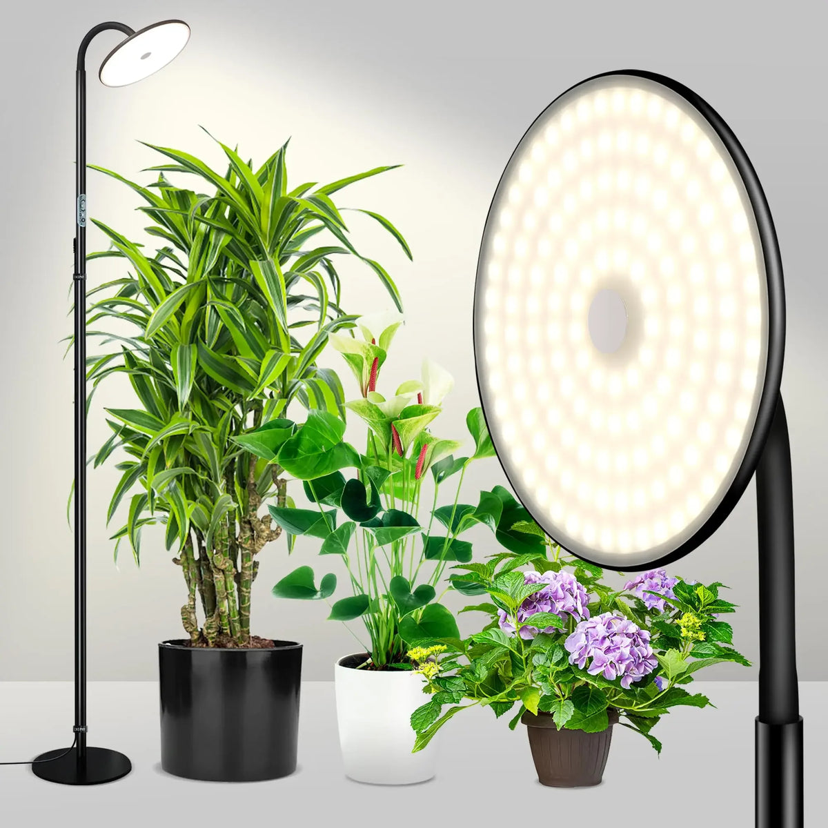 24W Growing Lamp,Floor Plant Light for Indoor Plants,10 Dimmable Brightness,Automatic On/Off Timer,Ideal for Tall Small Plants