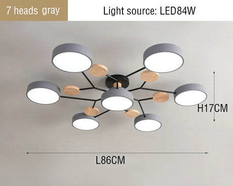 44437425717505|44437425783041