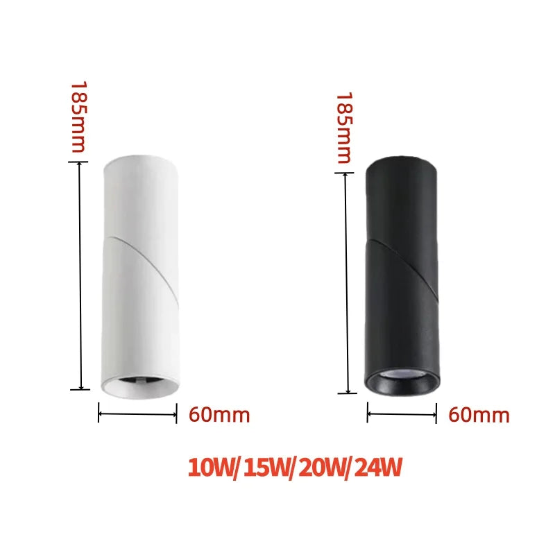 LED Downlights Dimmable 10W 15W 20W 24W Surface Mounted Ceiling Lamps Spot Light Warm /Natural /Cold White  + Driver