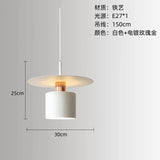 Nordic Minimalist Bedside Pendant Light - Modern Single Head Hanging Lamp