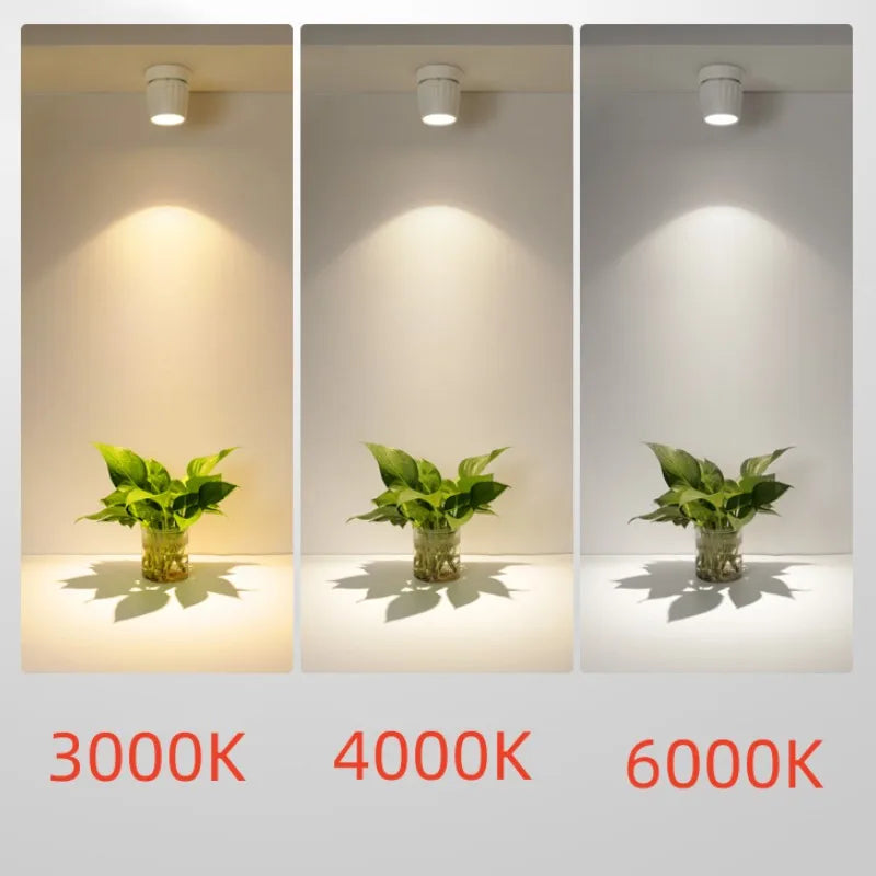 Tunable bright mounted spotlight LED ceiling light COB ceiling downlight 7W9W12W.AC110V-240V