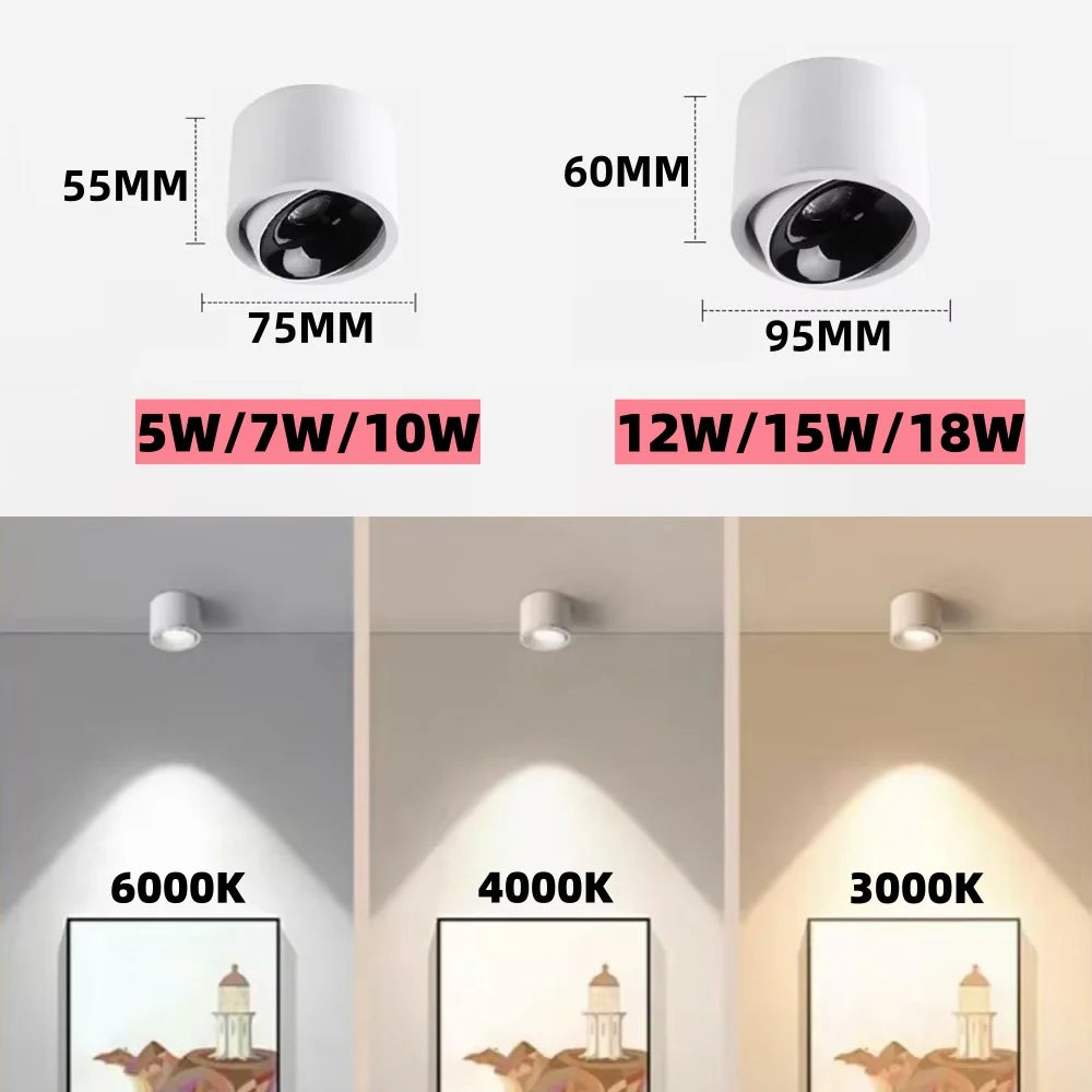 Ultra Thin Surface Mounted Rotating Anti Glare Downlight COB Ceiling Lamp Dimmable LED spotlights AC220V living room bedroom