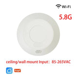 24G Mm Wave Radar Human Body Presence Motion Sensor For Light Switch Luminosity Detection 110/220V Tuya Smart Life Home