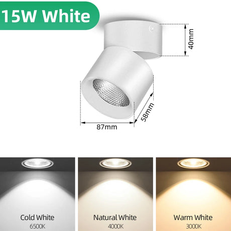 45401435767041|45401435799809|45401435832577|45401435865345