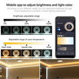 220V 40W Smart Ceiling Lamp Module RGB Dimming Work with Alexa Google Tuya Smart WiFi Control DIY Ceiling Light for Room Decor