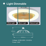 Ceiling Fan with LED Light and Remote Control Silent 30W E27 Converter Base 3 Wind Speeds 3 Light Colors Timmer for Kitchen Home