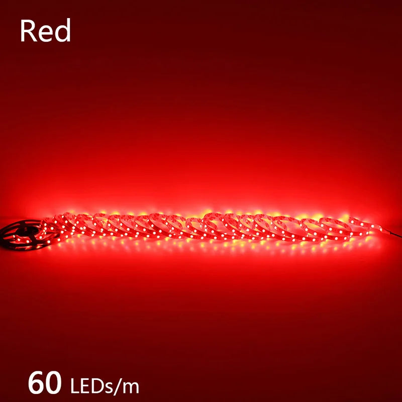 High-Density 2835 LED Strip Light | 5M 300 600 1200 LEDs | DC 12V 24V Tape