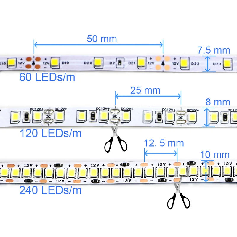 High-Density 2835 LED Strip Light | 5M 300 600 1200 LEDs | DC 12V 24V Tape