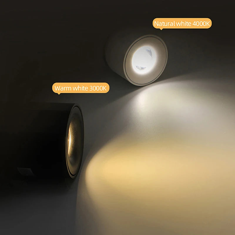 Aisilan Surface Mounted LED Downlight Ceiling Light CREE 7W 9W CRI97 Matte Aluminum COB Spot Light For Living Room Kitchen