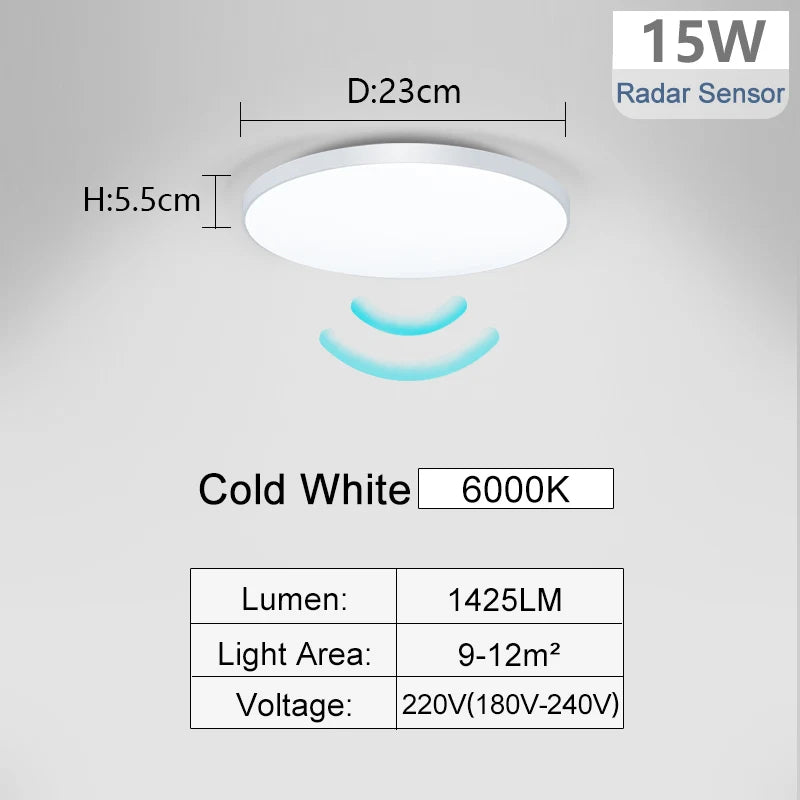 220V Radar Motion Sensor LED Ceiling Light - Cold White Flush Mount Lamp